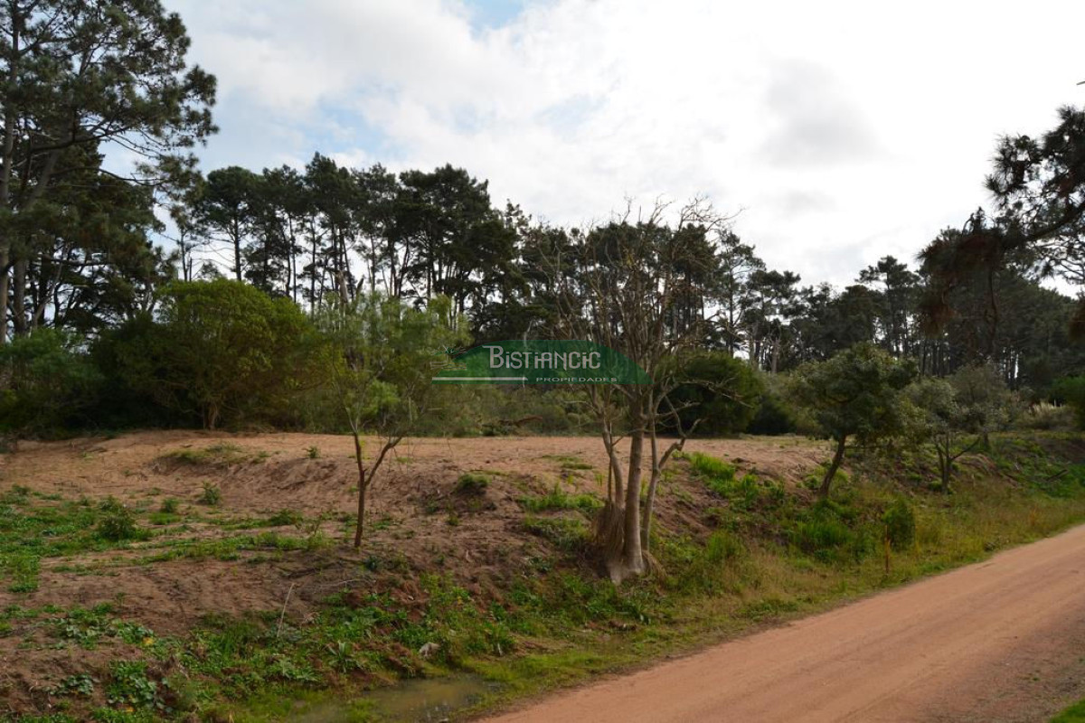 Pinares - GoPunta - Portal Inmobiliario de Punta del Este - Maldonado