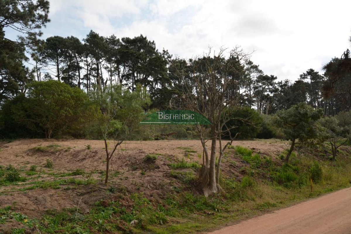 Pinares - GoPunta - Portal Inmobiliario de Punta del Este - Maldonado