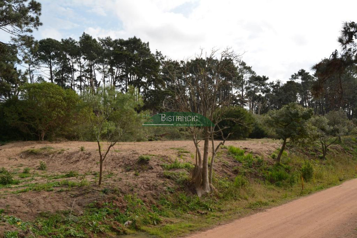 Pinares - GoPunta - Portal Inmobiliario de Punta del Este - Maldonado