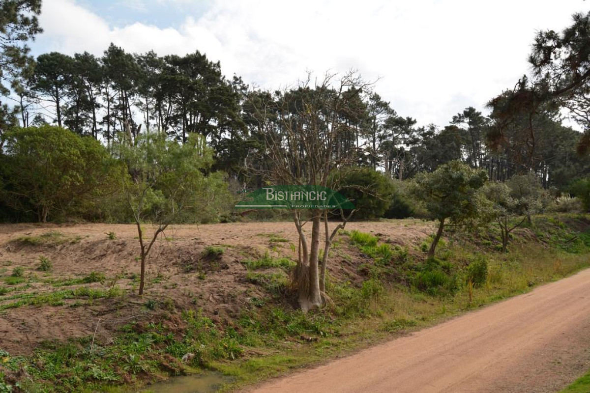 Pinares - GoPunta - Portal Inmobiliario de Punta del Este - Maldonado