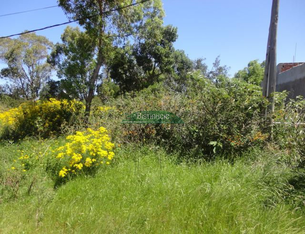 Balneario Buenos Aires - GoPunta - Portal Inmobiliario de Punta del Este - Maldonado