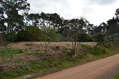 Terreno en Punta del Este, Pinares
