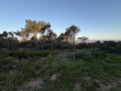 Lote en Punta Ballena