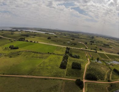 Venta Chacra 5 Ha Laguna Del Sauce Maldonado