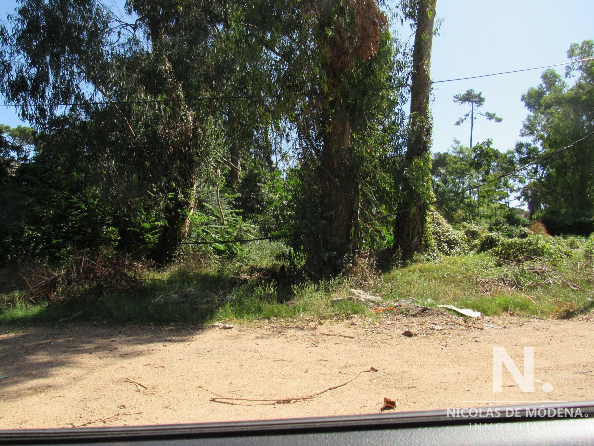 San Rafael - GoPunta - Portal Inmobiliario de Punta del Este - Maldonado
