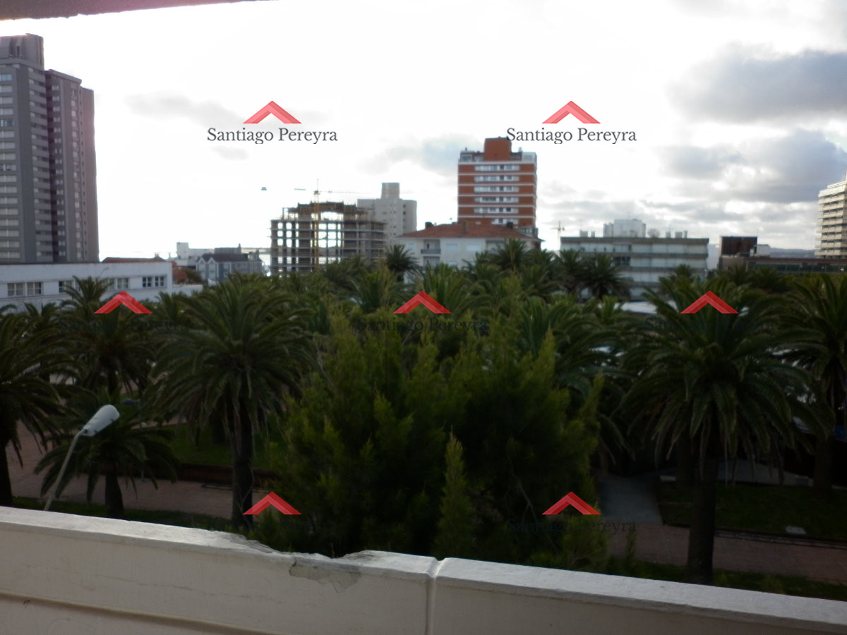 Peninsula - GoPunta - Portal Inmobiliario de Punta del Este - Maldonado