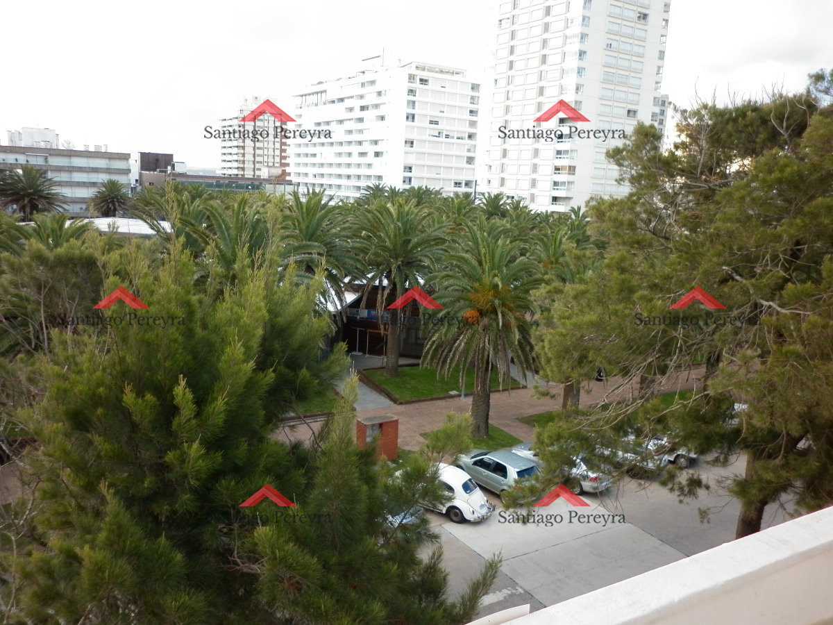 Peninsula - GoPunta - Portal Inmobiliario de Punta del Este - Maldonado