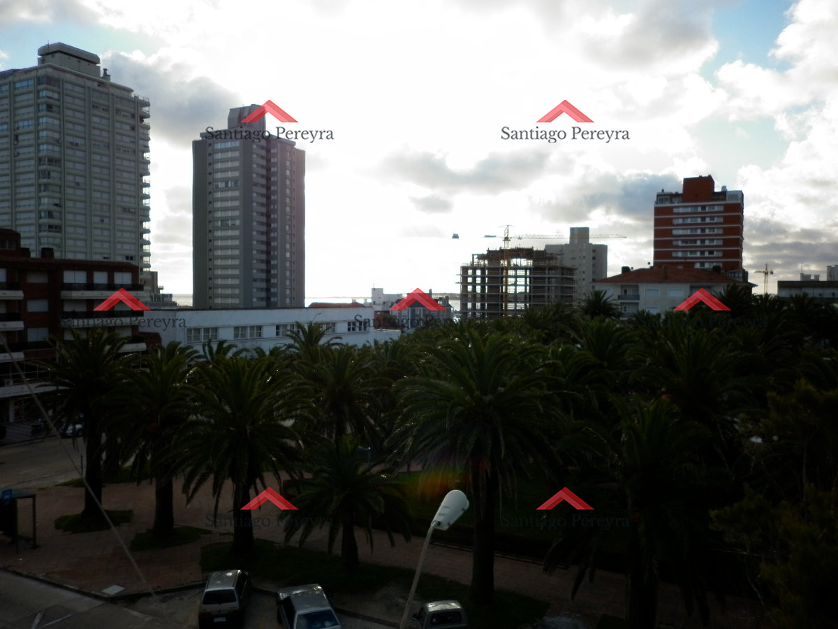Peninsula - GoPunta - Portal Inmobiliario de Punta del Este - Maldonado