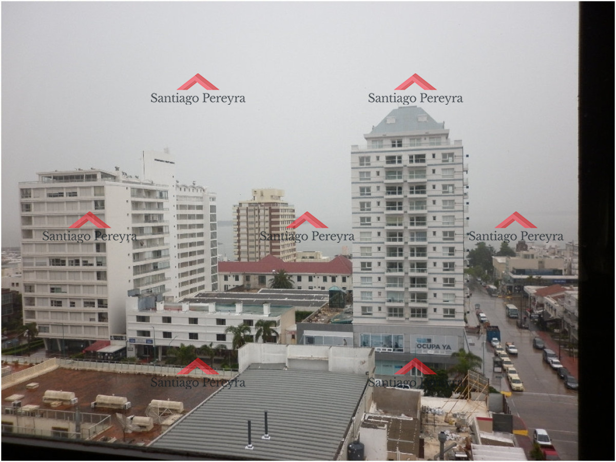 Peninsula - GoPunta - Portal Inmobiliario de Punta del Este - Maldonado
