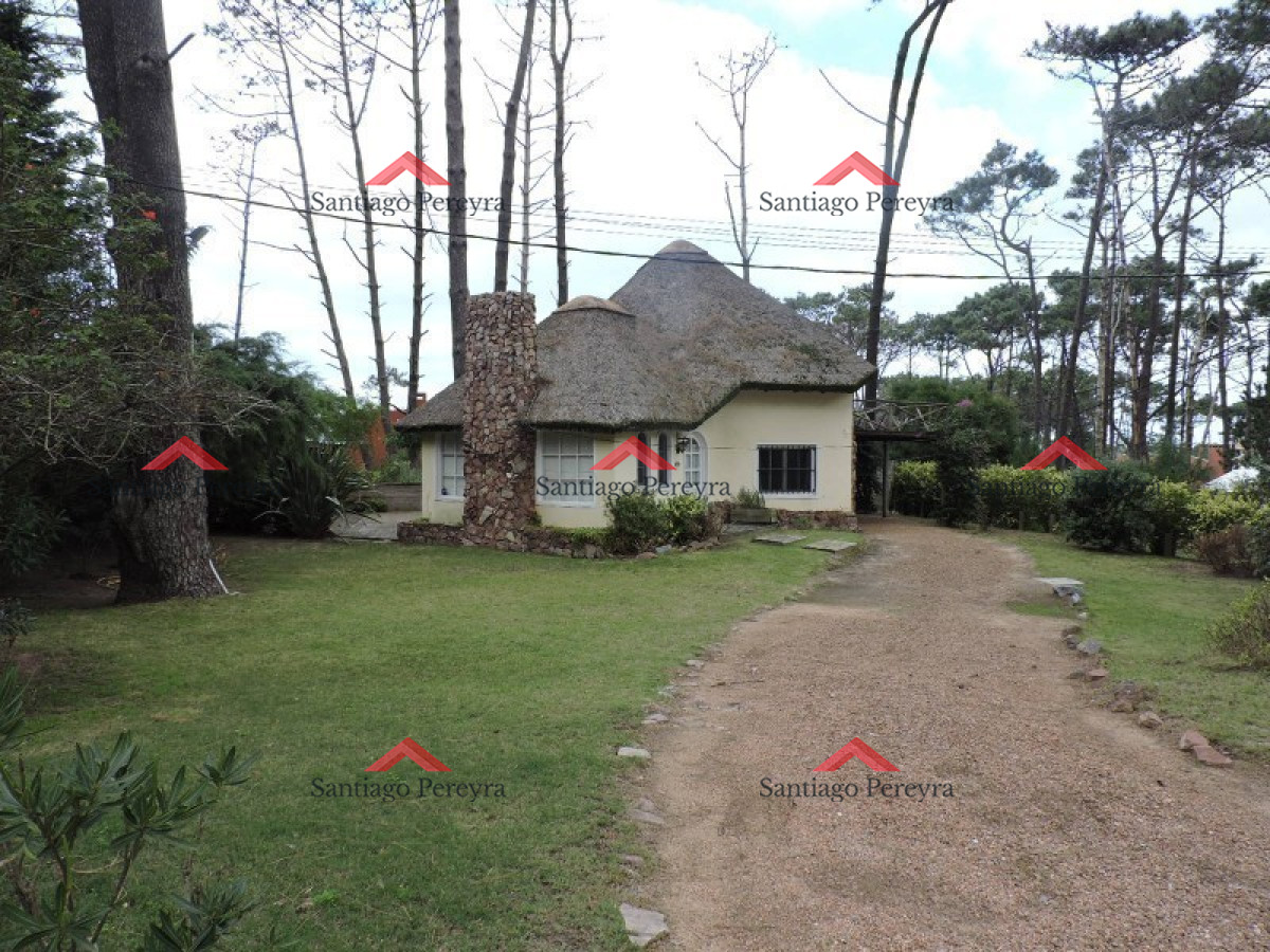 Montoya - GoPunta - Portal Inmobiliario de Punta del Este - Maldonado