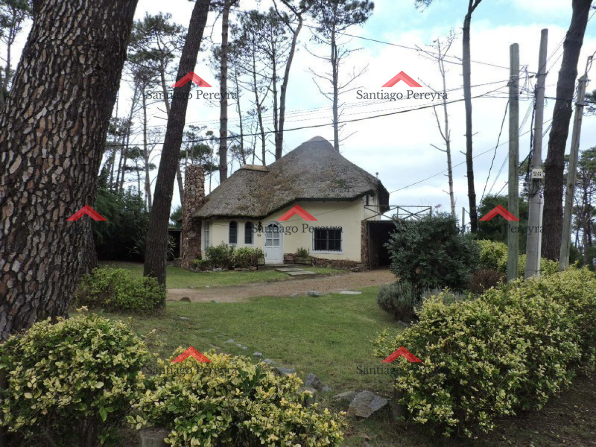 Montoya - GoPunta - Portal Inmobiliario de Punta del Este - Maldonado