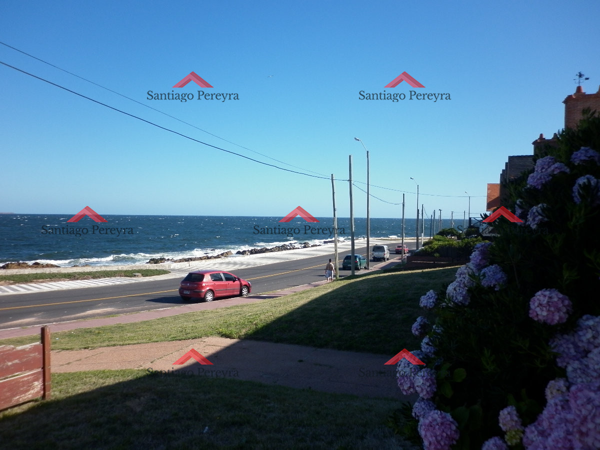 Peninsula - GoPunta - Portal Inmobiliario de Punta del Este - Maldonado
