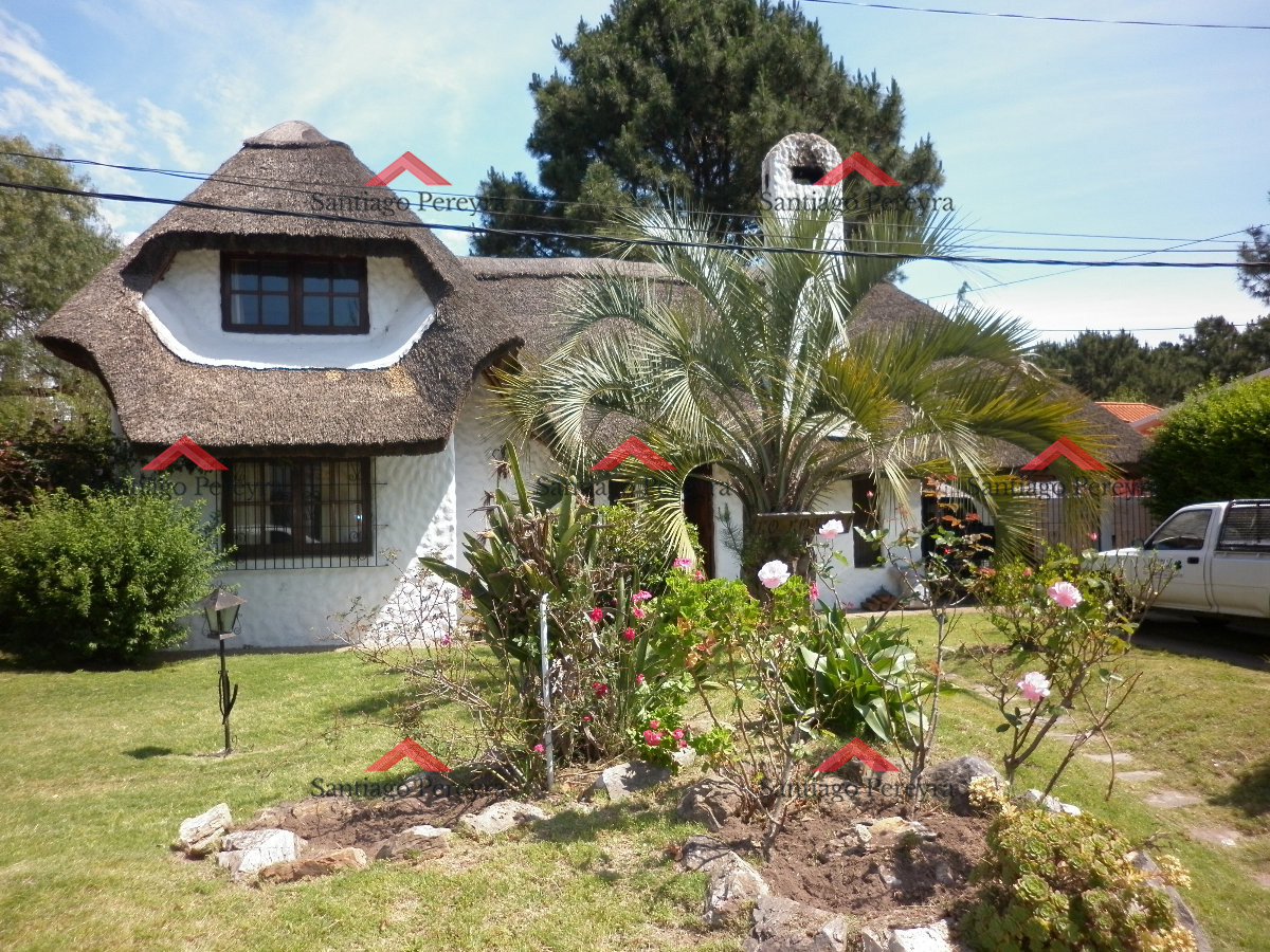 Centro Maldonado - GoPunta - Portal Inmobiliario de Punta del Este - Maldonado