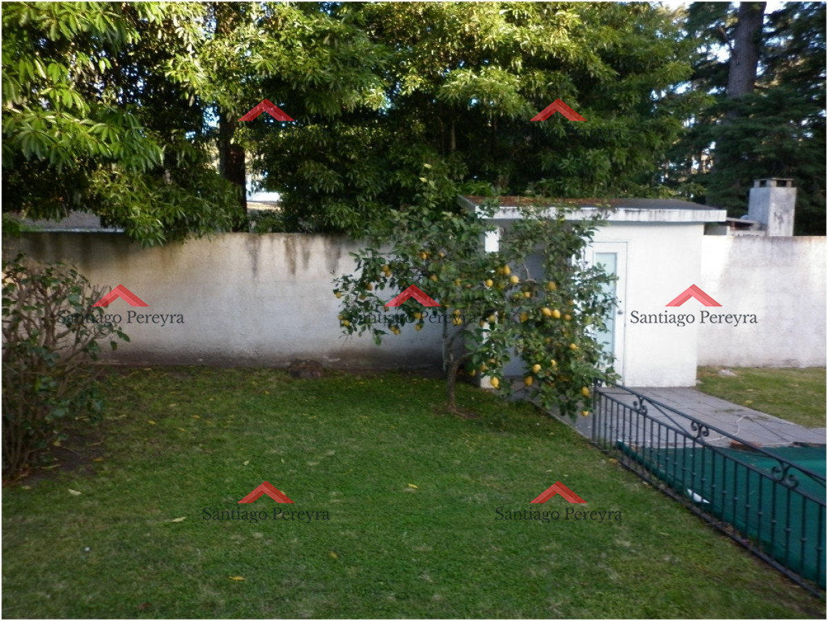 Lugano - GoPunta - Portal Inmobiliario de Punta del Este - Maldonado