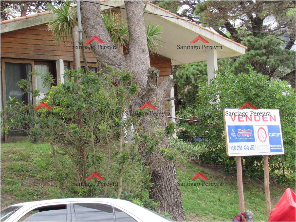 Aidy Grill - GoPunta - Portal Inmobiliario de Punta del Este - Maldonado