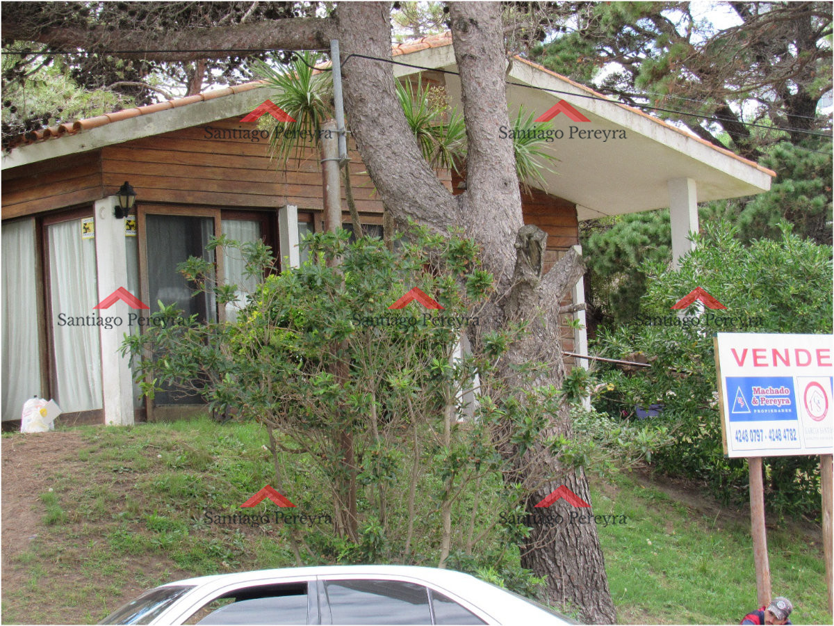 Aidy Grill - GoPunta - Portal Inmobiliario de Punta del Este - Maldonado