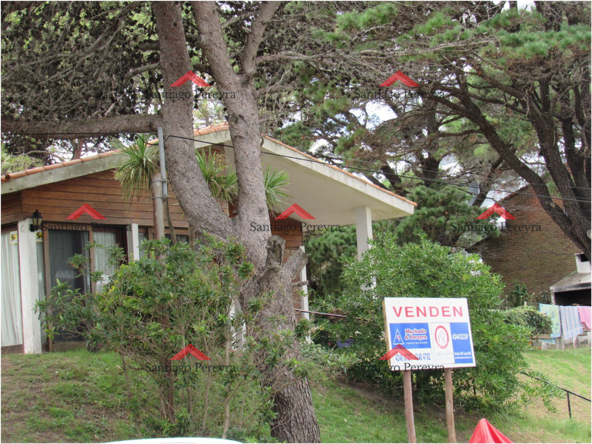 Aidy Grill - GoPunta - Portal Inmobiliario de Punta del Este - Maldonado