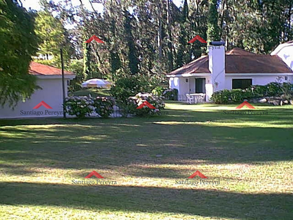 Marly - GoPunta - Portal Inmobiliario de Punta del Este - Maldonado