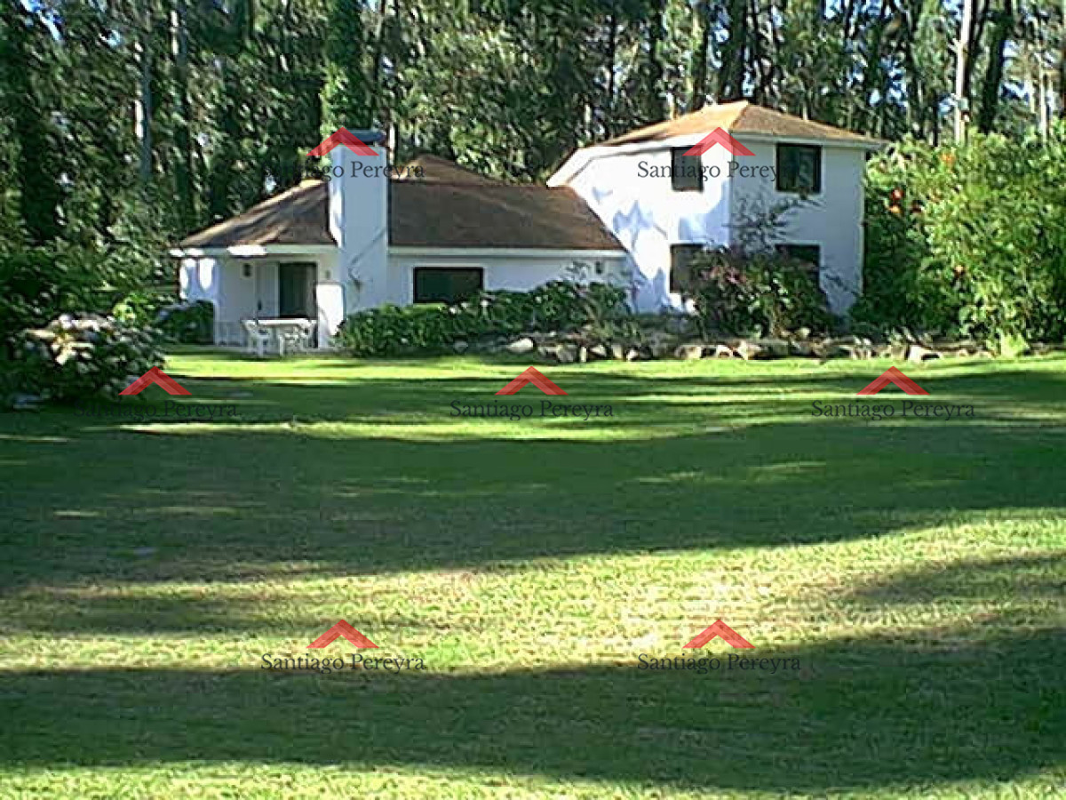 Marly - GoPunta - Portal Inmobiliario de Punta del Este - Maldonado