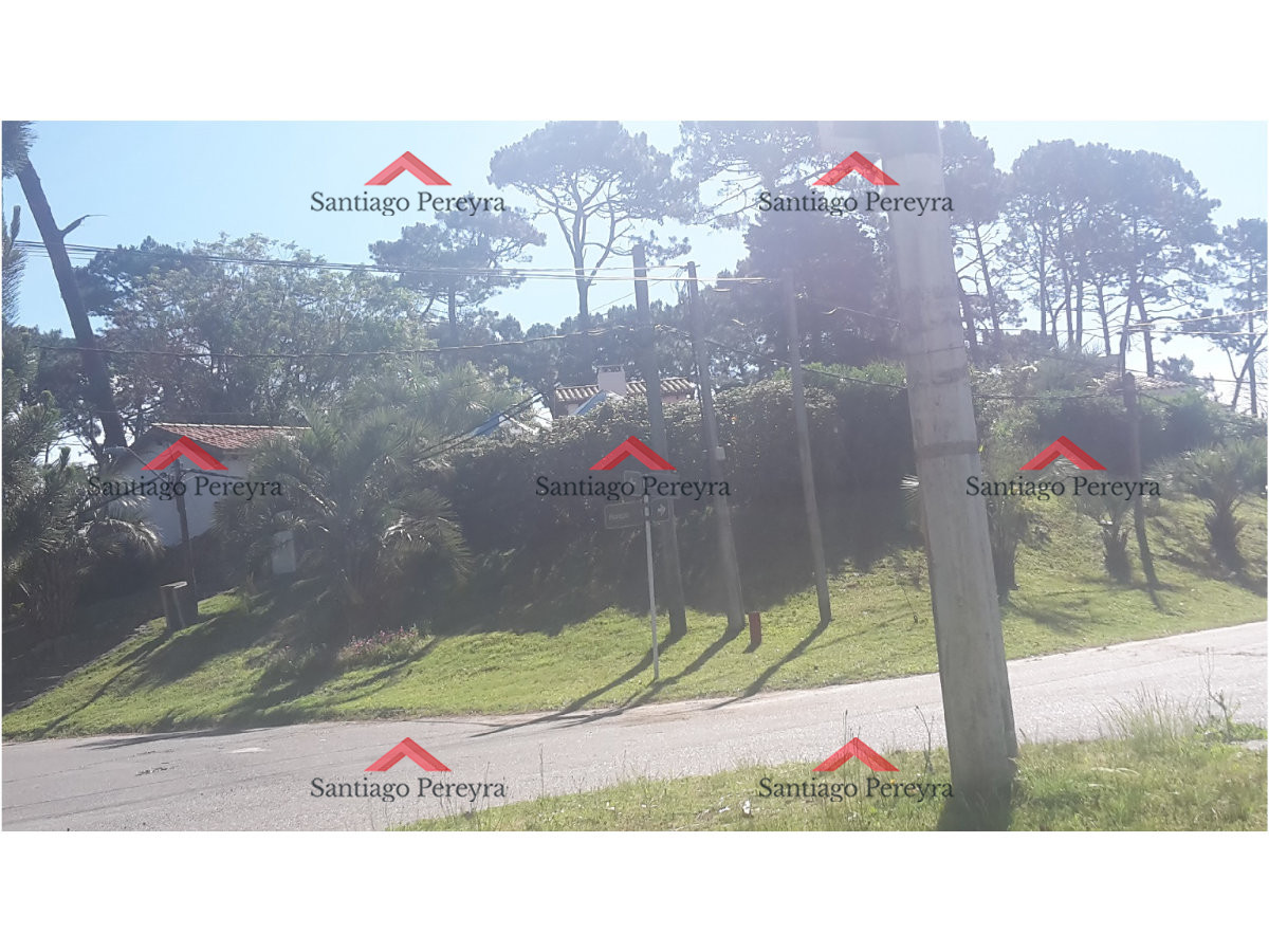 Lugano - GoPunta - Portal Inmobiliario de Punta del Este - Maldonado