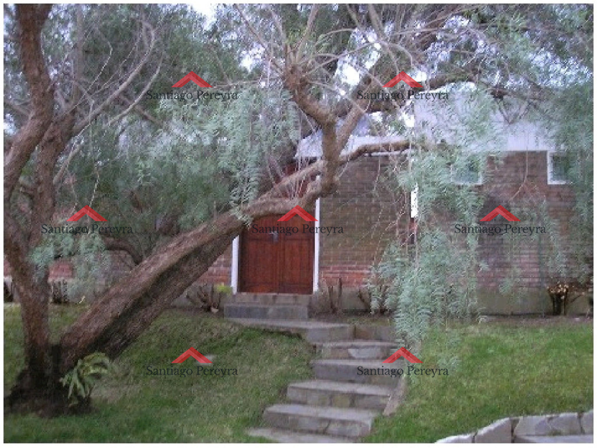 Pinares - GoPunta - Portal Inmobiliario de Punta del Este - Maldonado