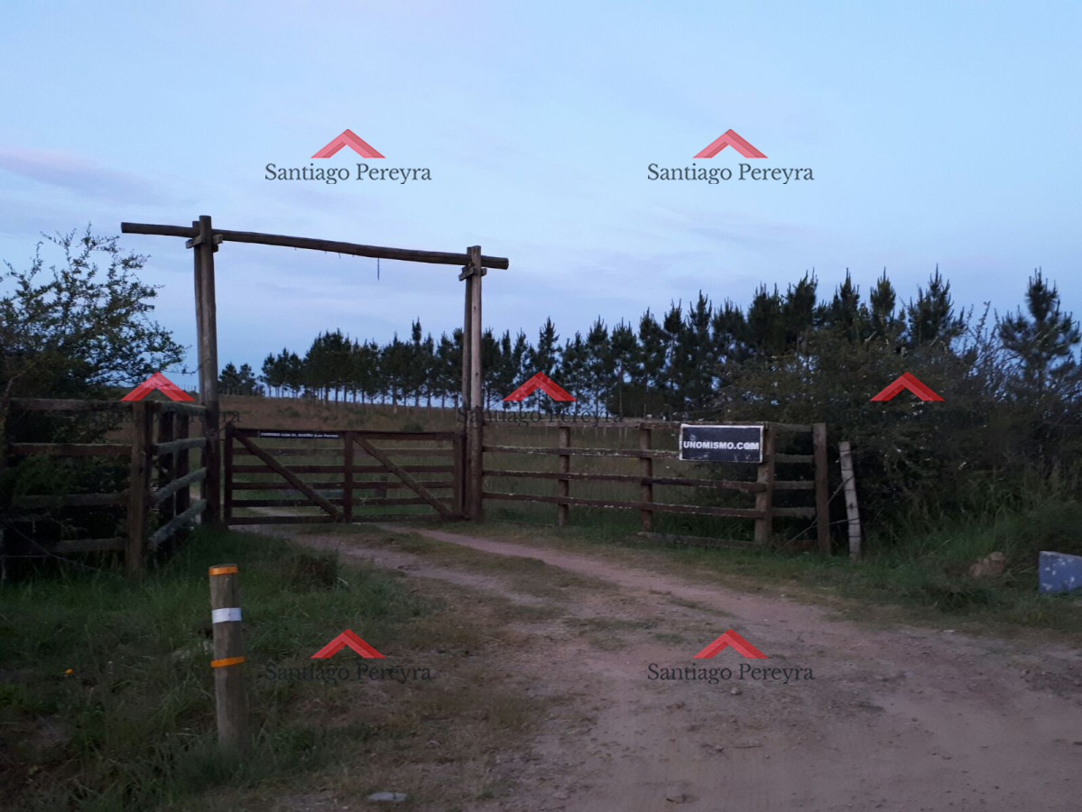 Zona Rural - GoPunta - Portal Inmobiliario de Punta del Este - Maldonado
