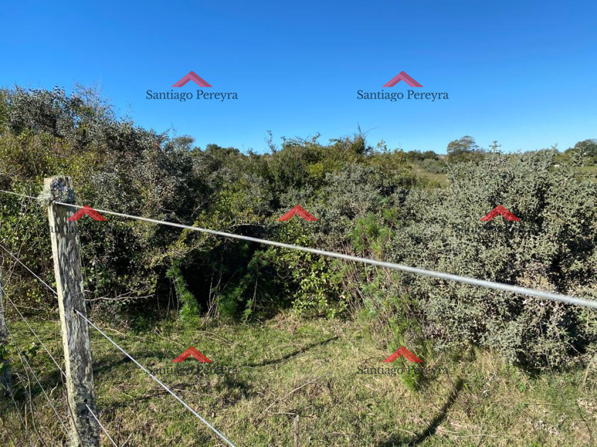 Zona Rural - GoPunta - Portal Inmobiliario de Punta del Este - Maldonado