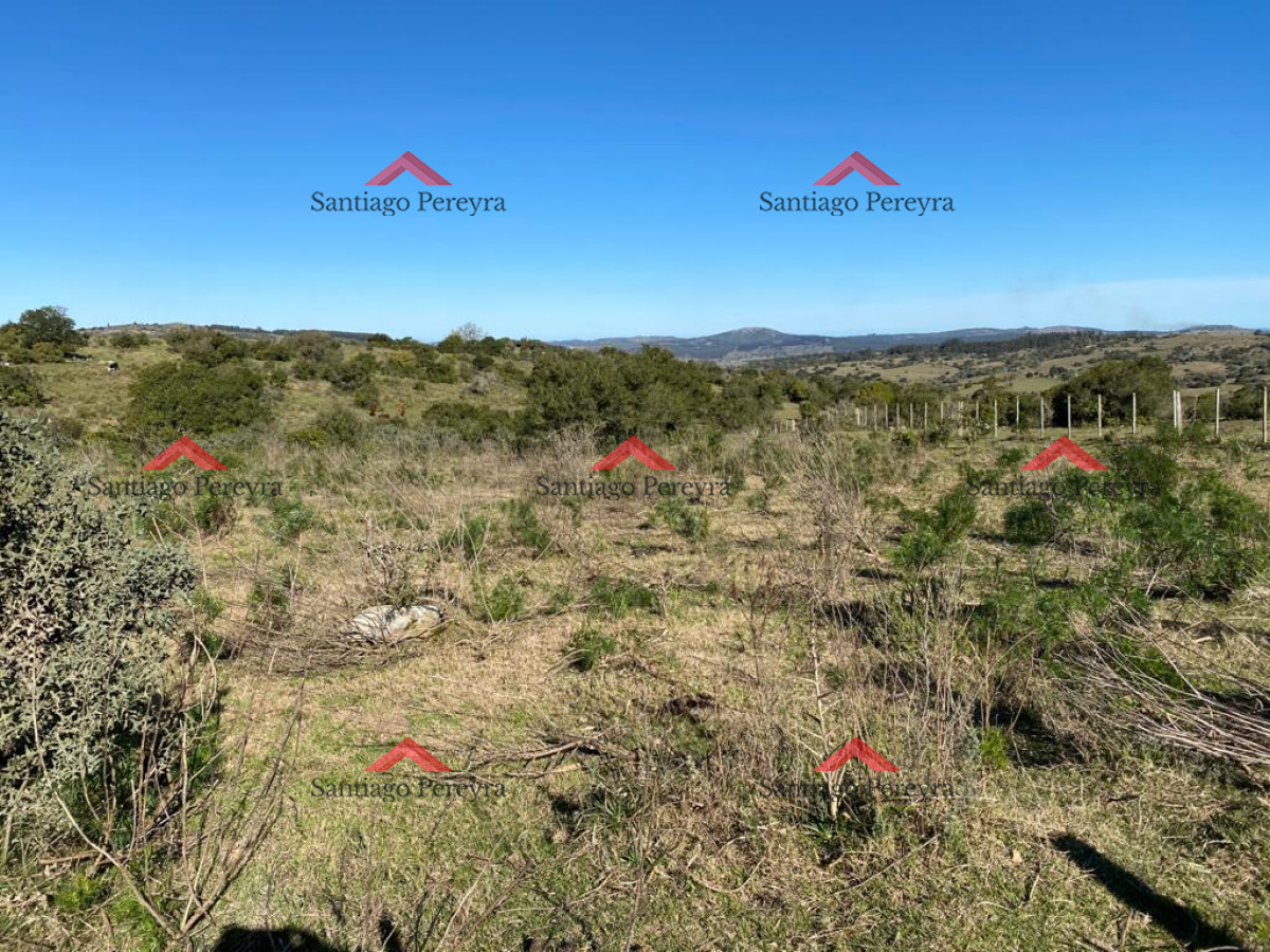 Zona Rural - GoPunta - Portal Inmobiliario de Punta del Este - Maldonado
