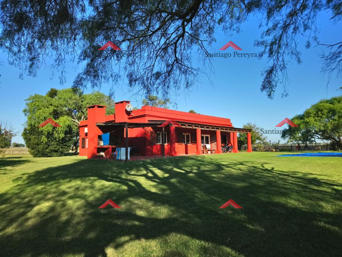 Chacra en Punta del Este - GoPunta - Portal Inmobiliario de Punta del Este - Maldonado