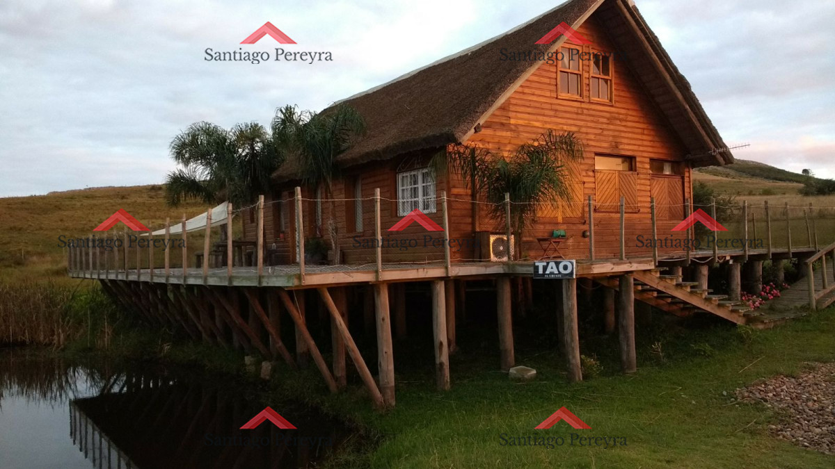 Zona Rural - GoPunta - Portal Inmobiliario de Punta del Este - Maldonado