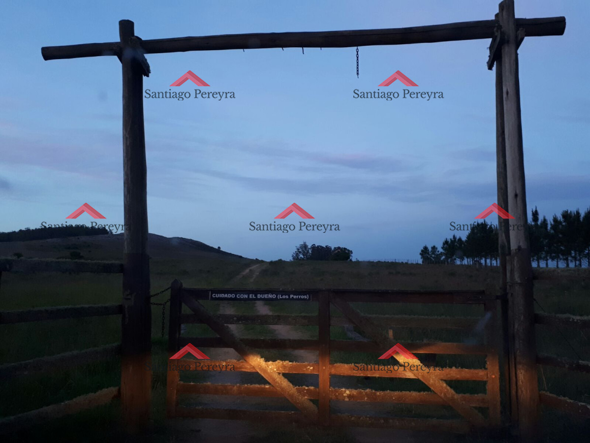 Zona Rural - GoPunta - Portal Inmobiliario de Punta del Este - Maldonado