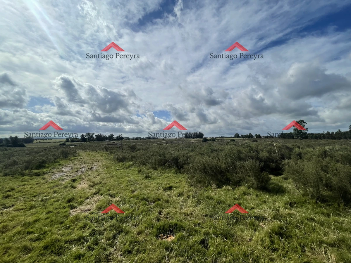 San Carlos - GoPunta - Portal Inmobiliario de Punta del Este - Maldonado