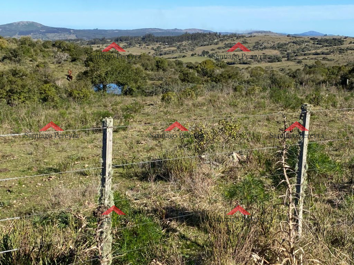 Zona Rural - GoPunta - Portal Inmobiliario de Punta del Este - Maldonado