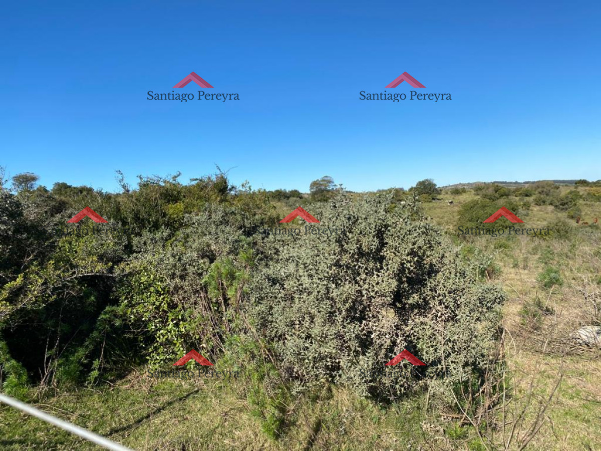 Zona Rural - GoPunta - Portal Inmobiliario de Punta del Este - Maldonado