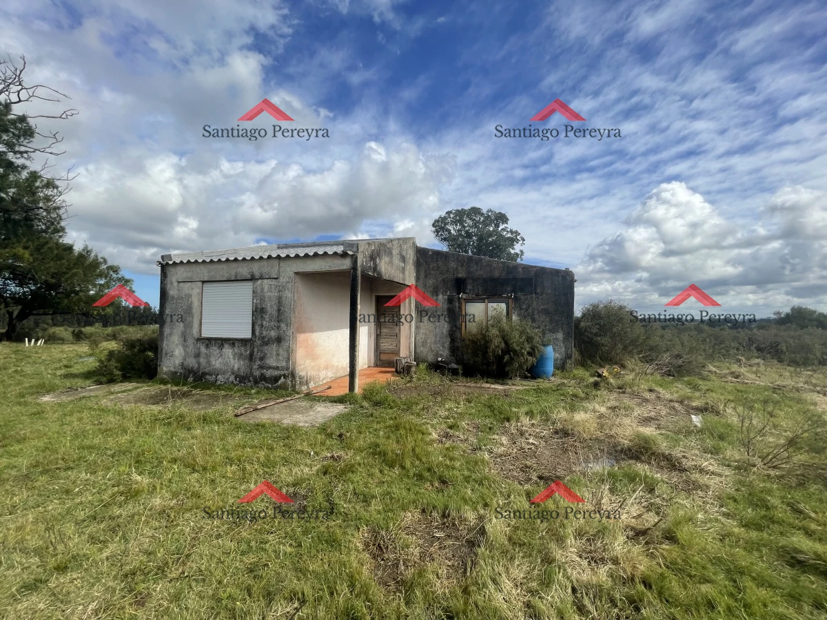 San Carlos - GoPunta - Portal Inmobiliario de Punta del Este - Maldonado