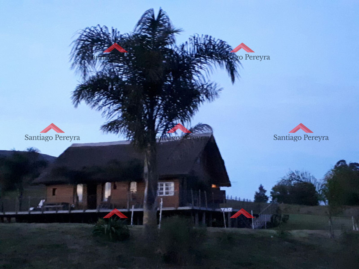 Zona Rural - GoPunta - Portal Inmobiliario de Punta del Este - Maldonado