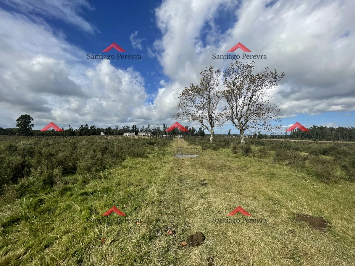 San Carlos - GoPunta - Portal Inmobiliario de Punta del Este - Maldonado