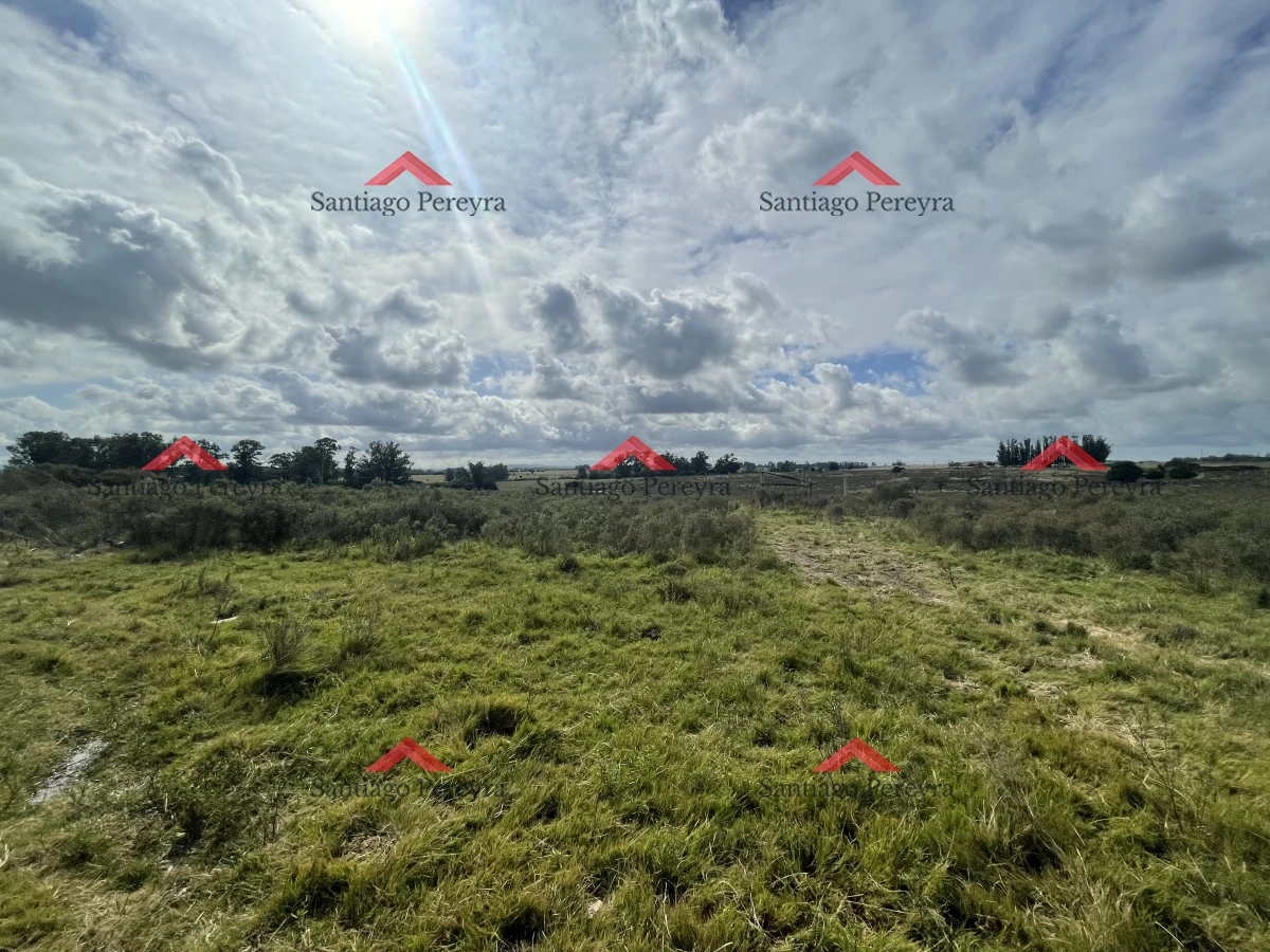San Carlos - GoPunta - Portal Inmobiliario de Punta del Este - Maldonado