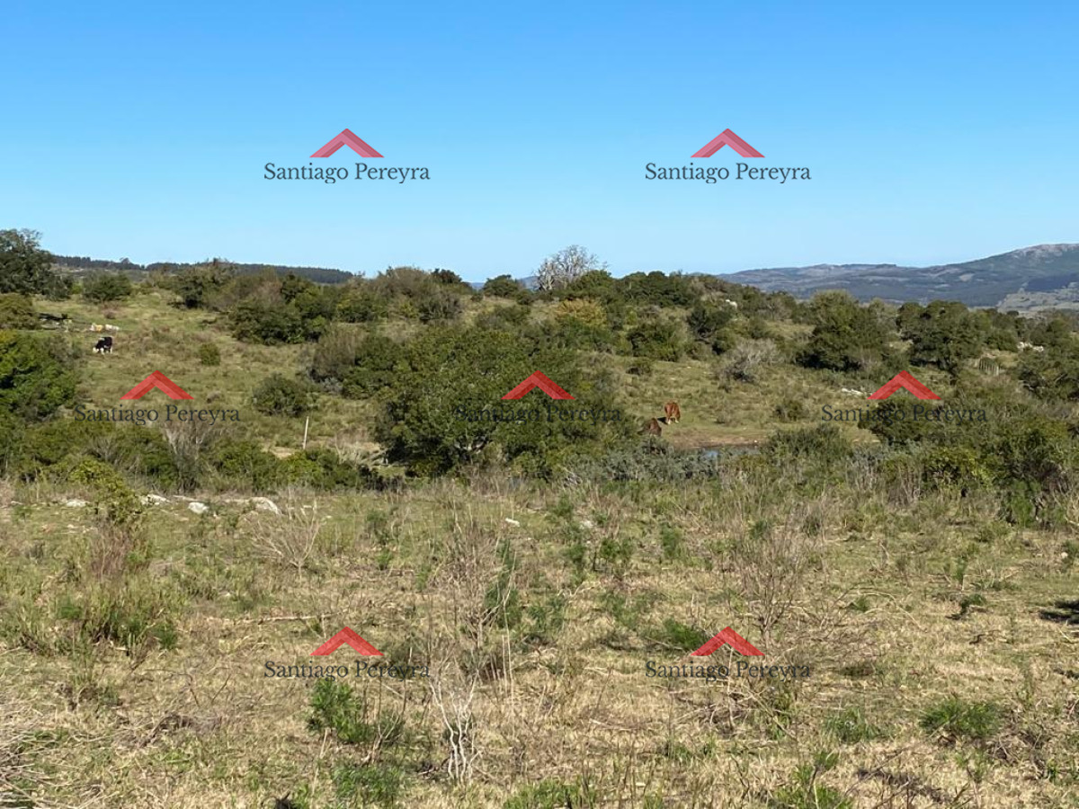 Zona Rural - GoPunta - Portal Inmobiliario de Punta del Este - Maldonado
