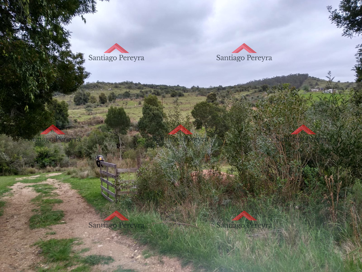 Aiguá - GoPunta - Portal Inmobiliario de Punta del Este - Maldonado