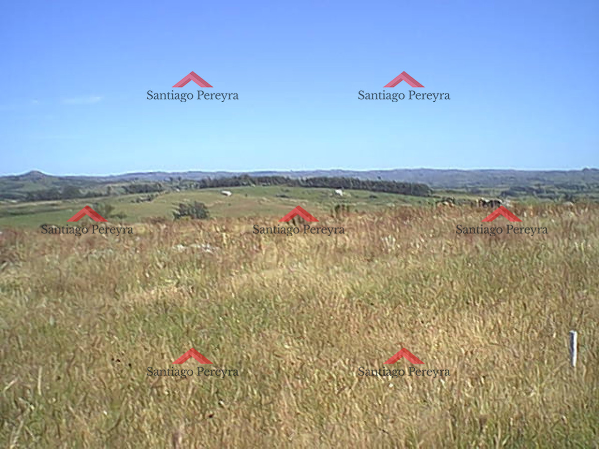 Muy linda chacra en venta - GoPunta - Portal Inmobiliario de Punta del Este - Maldonado