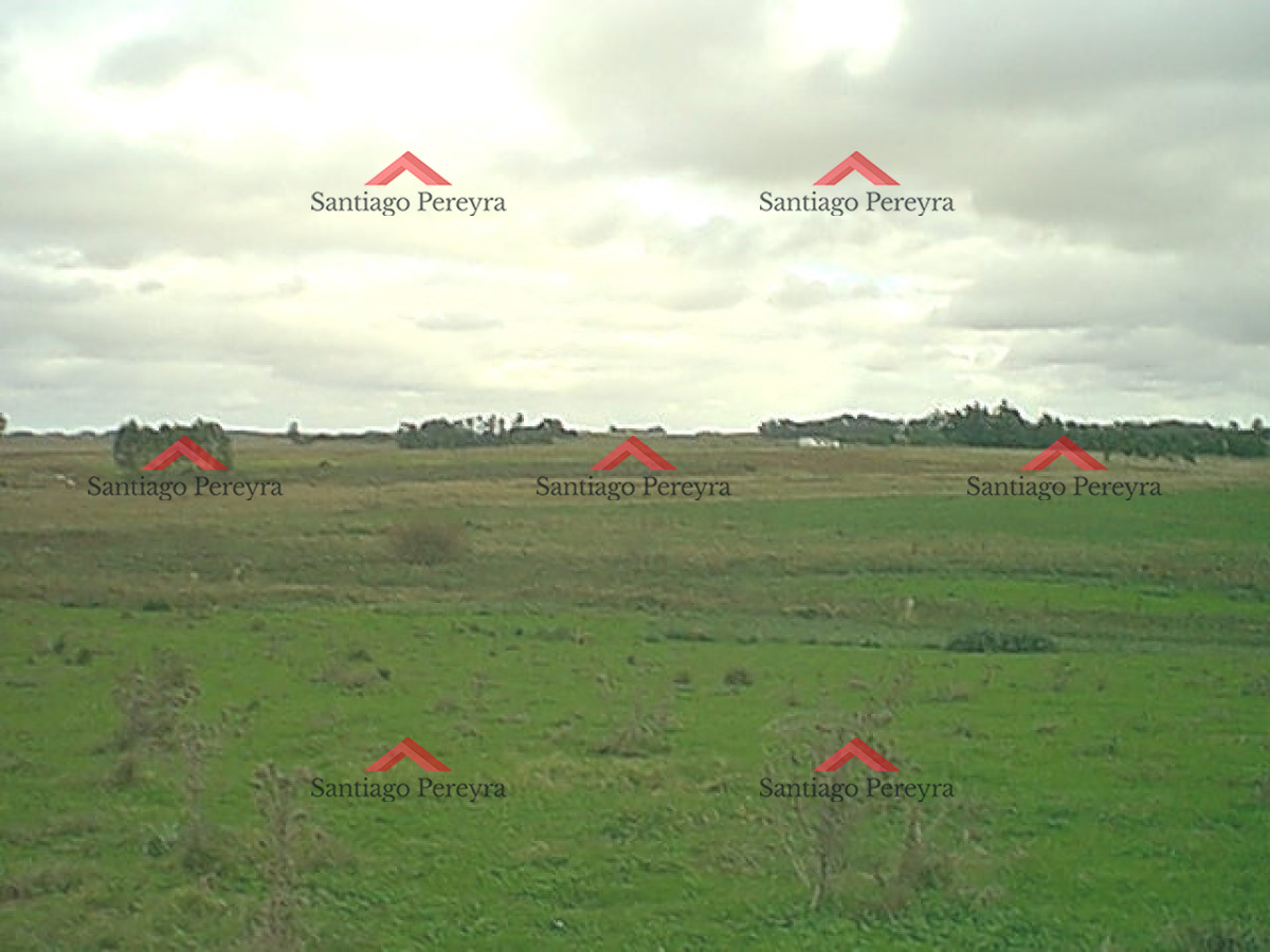 Espectacular chacra en venta en Jose Ignacio - GoPunta - Portal Inmobiliario de Punta del Este - Maldonado