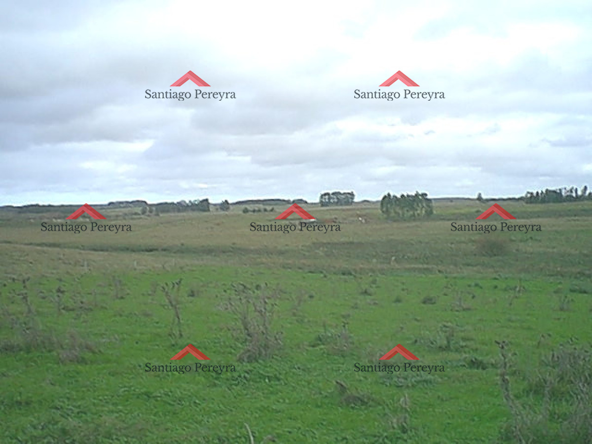 Espectacular chacra en venta en Jose Ignacio - GoPunta - Portal Inmobiliario de Punta del Este - Maldonado