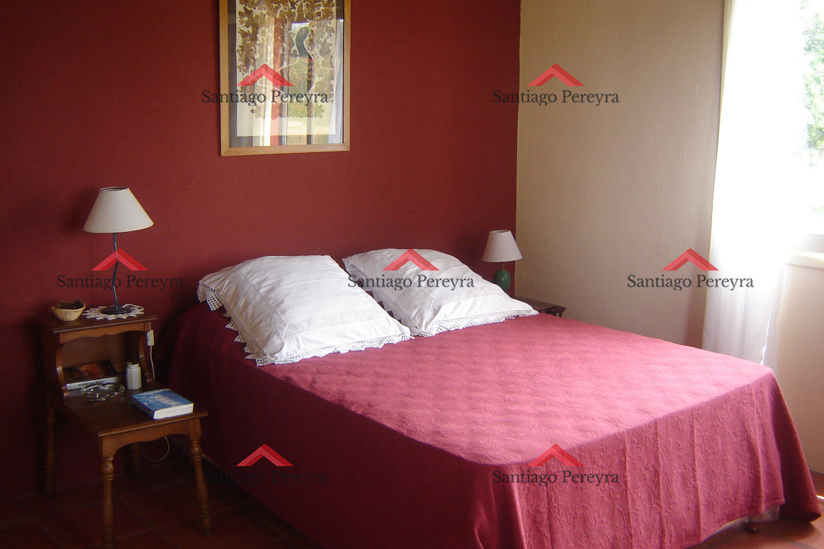Chacra en Punta del Este - GoPunta - Portal Inmobiliario de Punta del Este - Maldonado