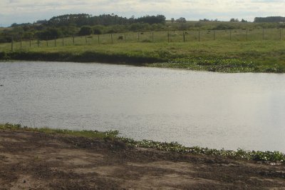 Chacra en Punta del Este