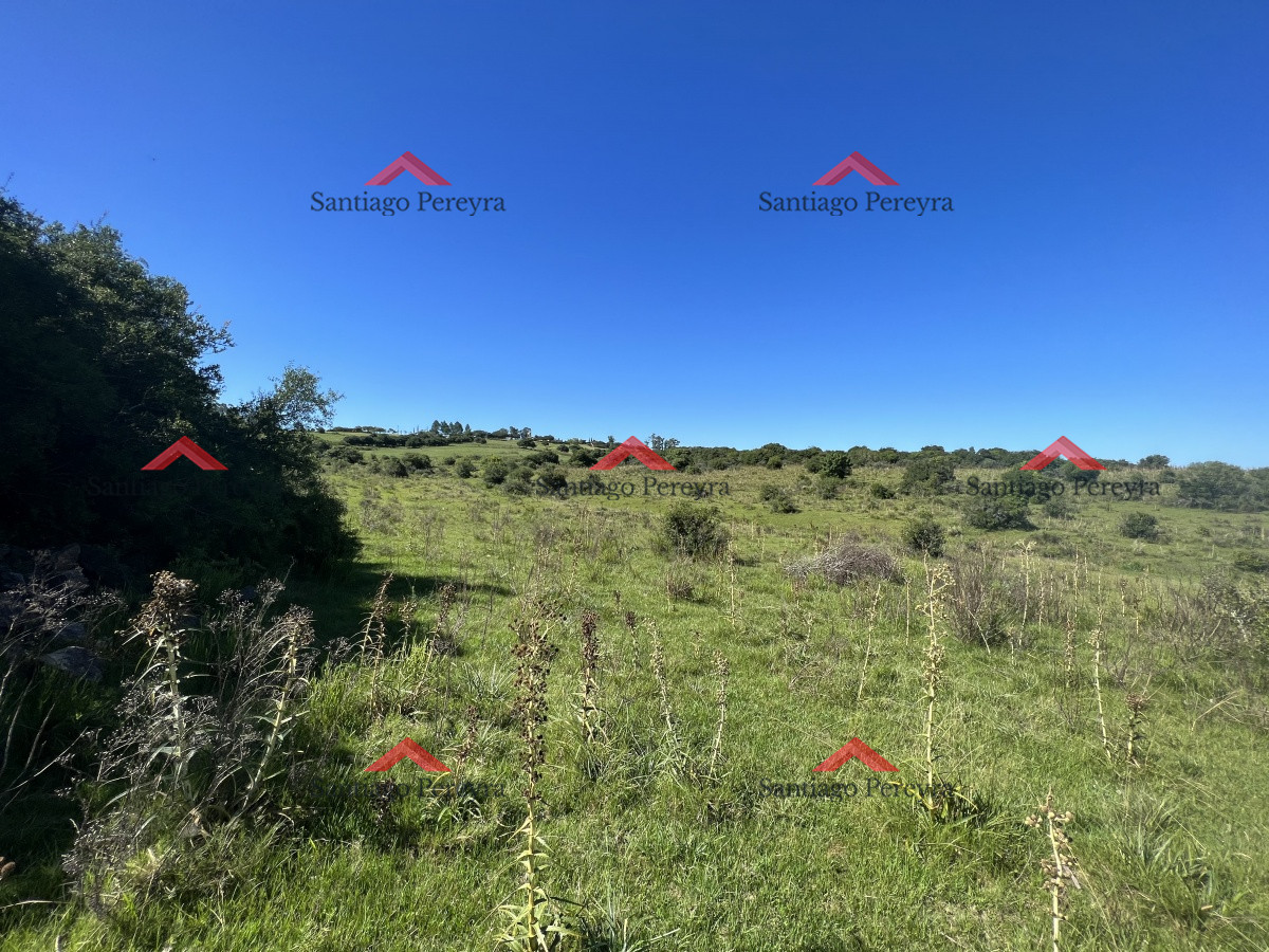 Campo en zona Mataojo, Maldonado - GoPunta - Portal Inmobiliario de Punta del Este - Maldonado