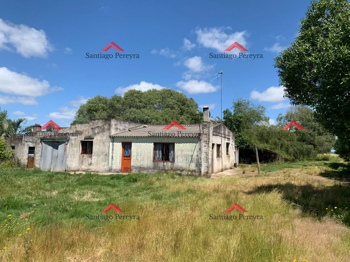 Campo en , Punta del Este — REF 7904
