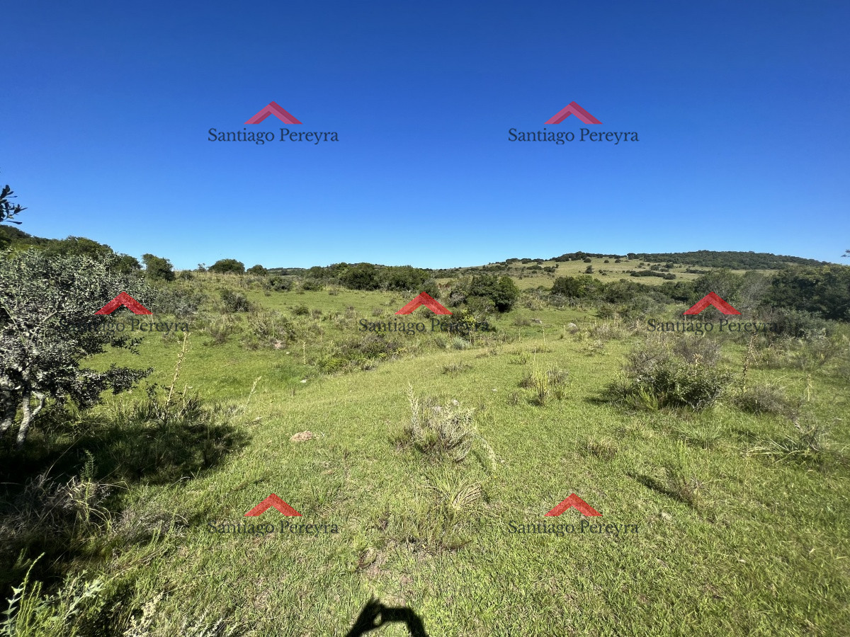 Campo en zona Mataojo, Maldonado - GoPunta - Portal Inmobiliario de Punta del Este - Maldonado