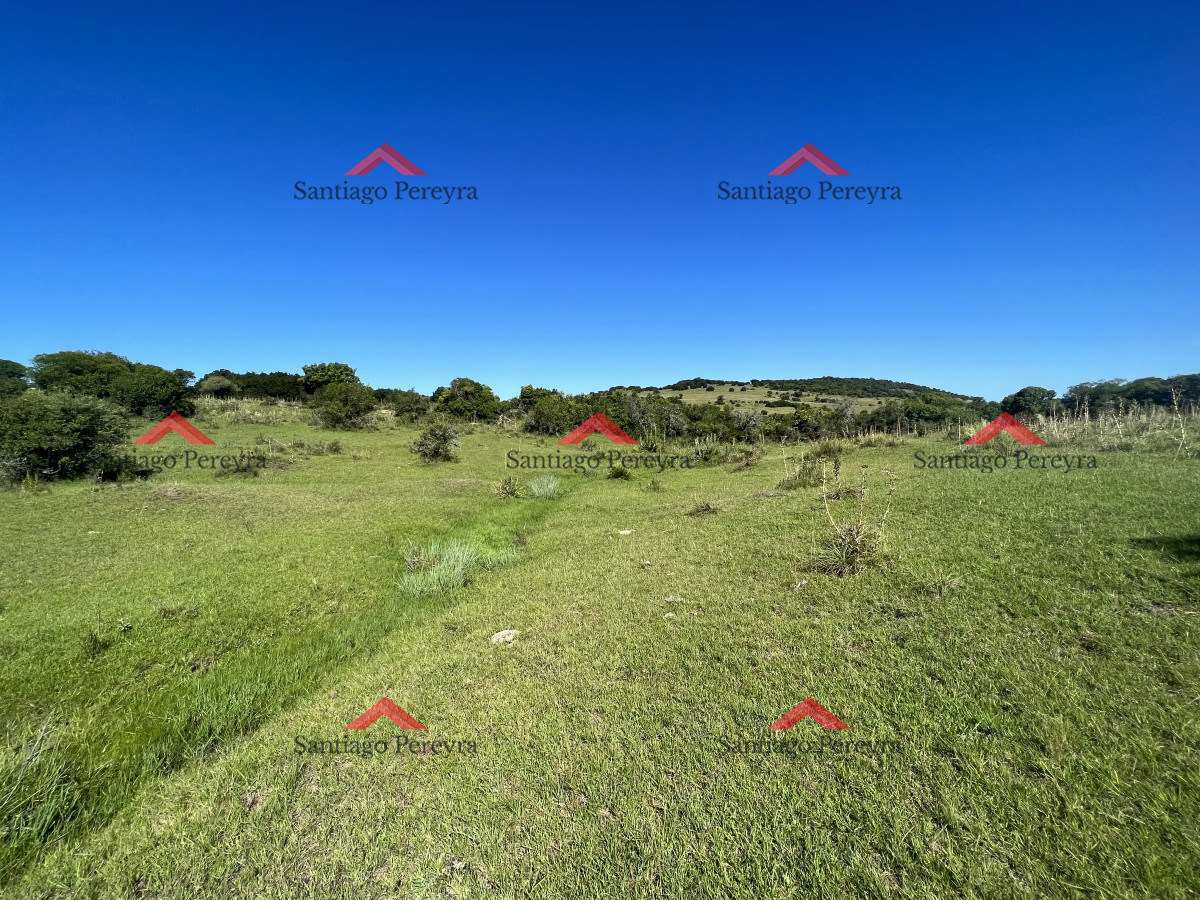 Campo en zona Mataojo, Maldonado - GoPunta - Portal Inmobiliario de Punta del Este - Maldonado