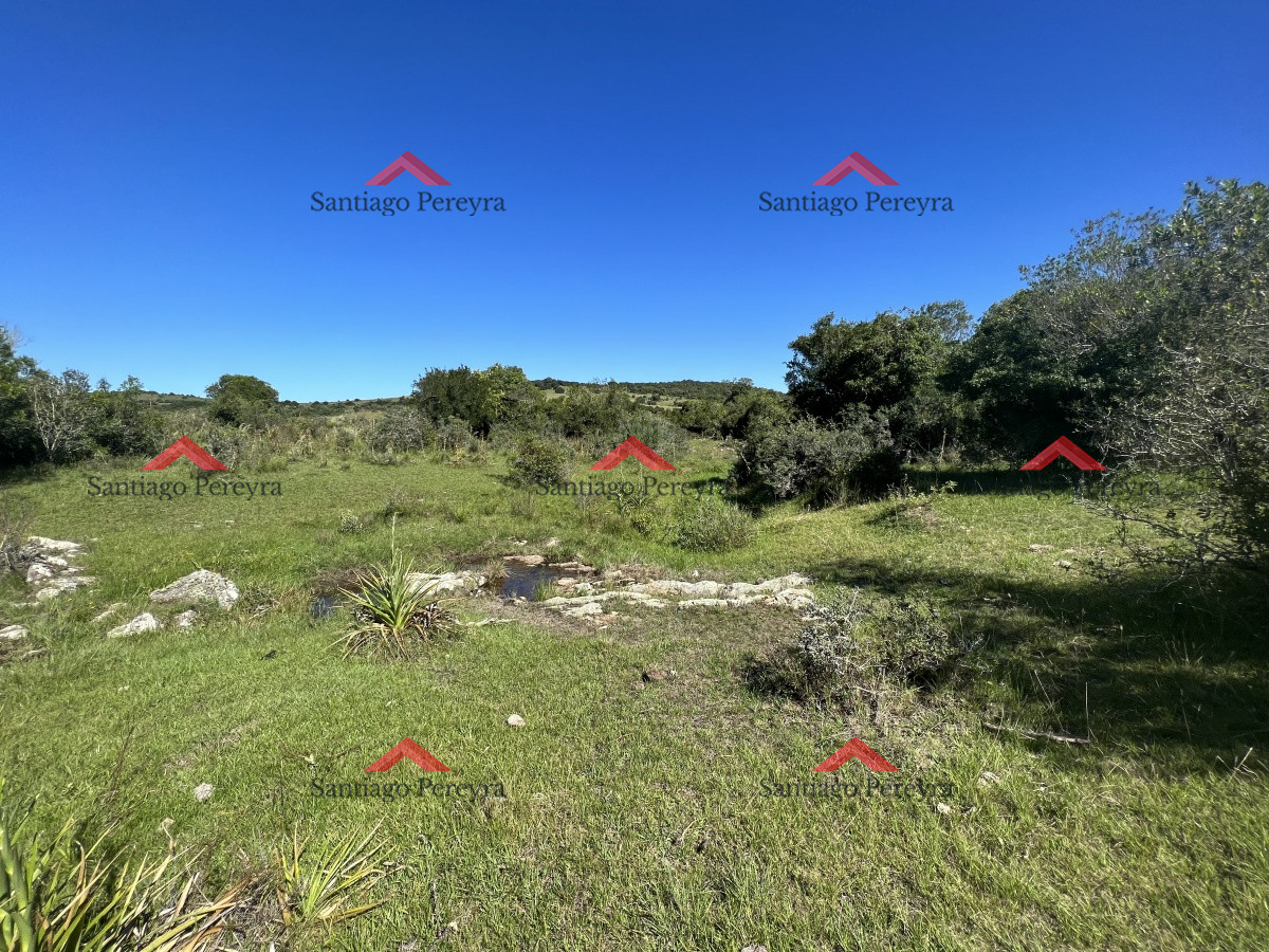 Campo en zona Mataojo, Maldonado - GoPunta - Portal Inmobiliario de Punta del Este - Maldonado
